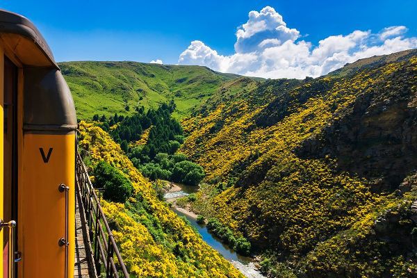 Bishop, Russ 아티스트의 Dunedin Railways tour of the Taieri Gorge-Otago-South Island-New Zealand작품입니다.